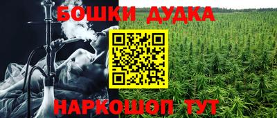 соль ск Будённовск