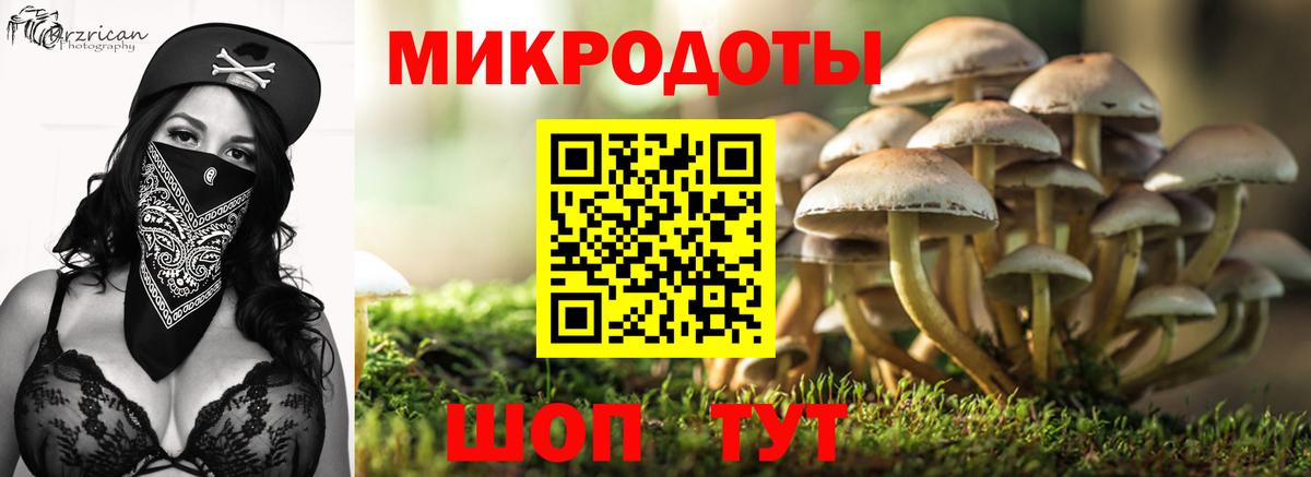 Волоколамск  Псилоцибиновые грибы мицелий  Вход с VPN  Псилоцибиновые грибы Cubensis 